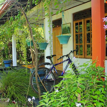 סיגירייה Nature Night Homestay מראה חיצוני תמונה