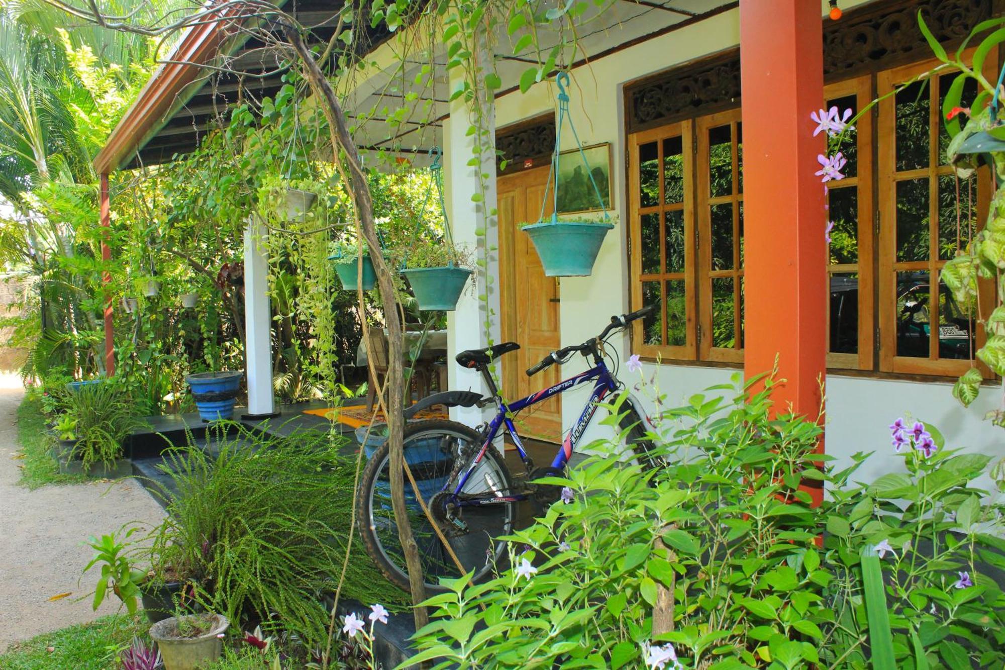 סיגירייה Nature Night Homestay מראה חיצוני תמונה